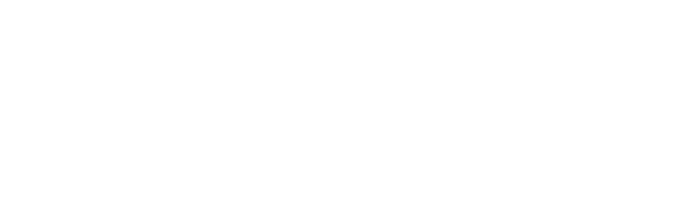erzurumlogo